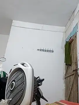 cactoto online show from May 2026 04:47:02 PM