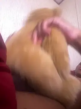 Bigcock127 online show from March 2026 06:57:01 PM