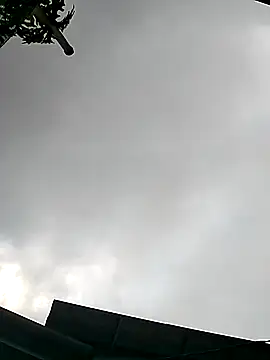 Cute-flowers online show from March 2026 02:38:02 AM