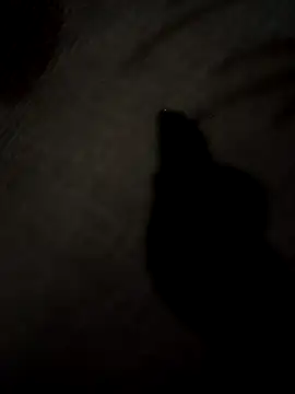 Snapshot of SEXY_COUPLE65 chatting on March 2026 09:03:01 AM SEXY COUPLE65 online show from March 2026 09:03:01 AM