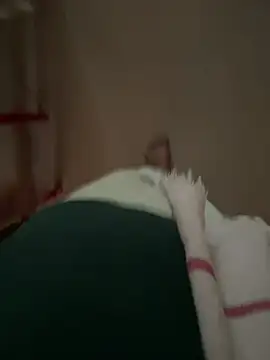 dangerousmallu online show from March 2026 11:04:02 AM