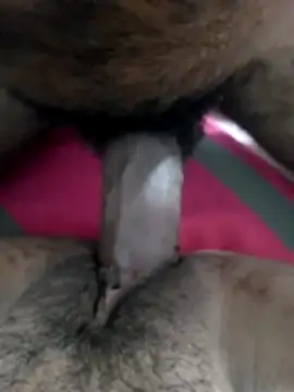 shenuteesha online show from March 2026 07:36:02 AM