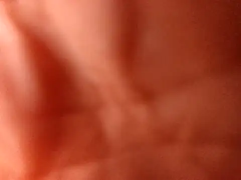 PinkredWad online show from April 2026 01:41:01 PM