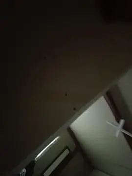 linahot1 online show from March 2026 05:00:01 AM