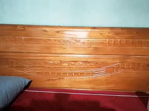 lusa baby online show from April 2026 09:54:01 PM