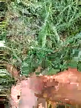 luck00y online show from June 2026 12:29:02 PM
