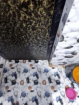 Snapshot of SLBL chatting on March 2026 05:07:02 PM SLBL online show from March 2026 05:07:02 PM