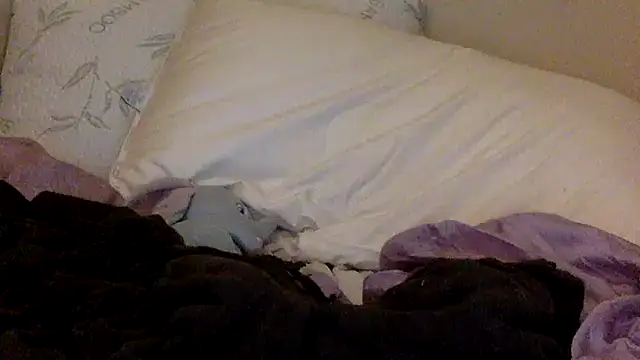 savannabanana online show from March 2026 03:34:01 AM