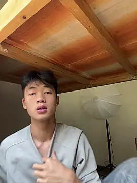 Snapshot of NV-1 chatting on April 2026 07:25:02 AM NV-1 online show from April 2026 07:25:02 AM