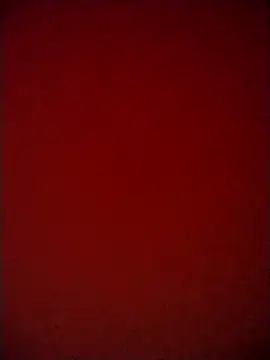Shaniya03 online show from May 2026 03:17:02 PM
