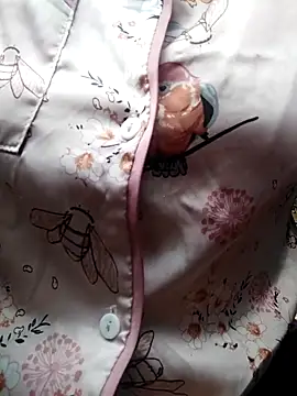 giahan1 online show from April 2026 12:49:02 AM