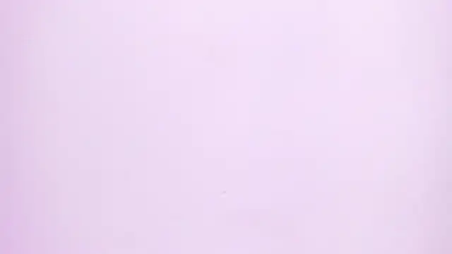 Natasha028  online show from June 2026 11:34:01 AM