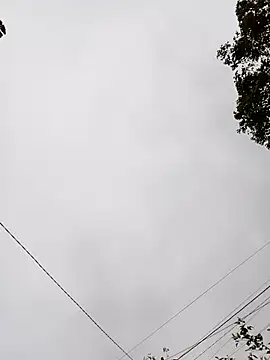 Melari online show from April 2026 11:05:02 AM