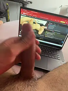 Wolf 18cm online show from July 2026 08:54:02 AM