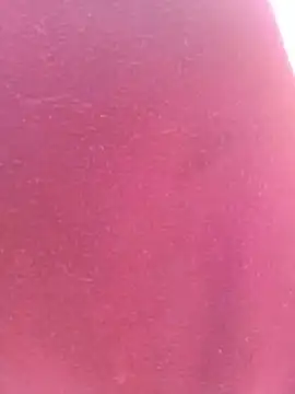 bombasexual online show from May 2026 01:05:02 PM