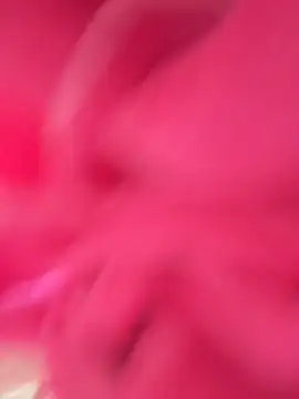 Sofianoon online show from April 2026 01:05:02 PM