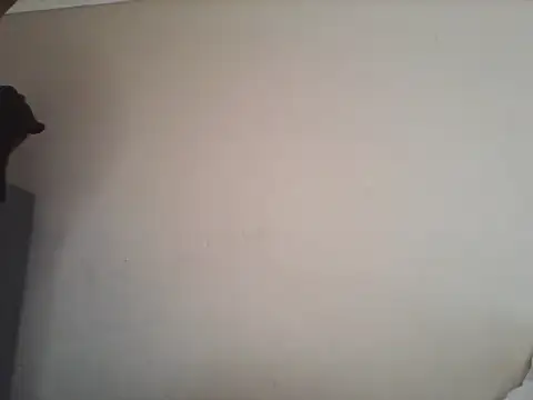 Tbangs  online show from June 2026 01:20:02 PM