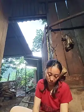Snapshot of Jinli_01 chatting on July 2026 11:52:01 AM Jinli 01 online show from July 2026 11:52:01 AM