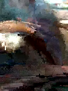 whowantme461 online show from May 2026 03:19:01 PM