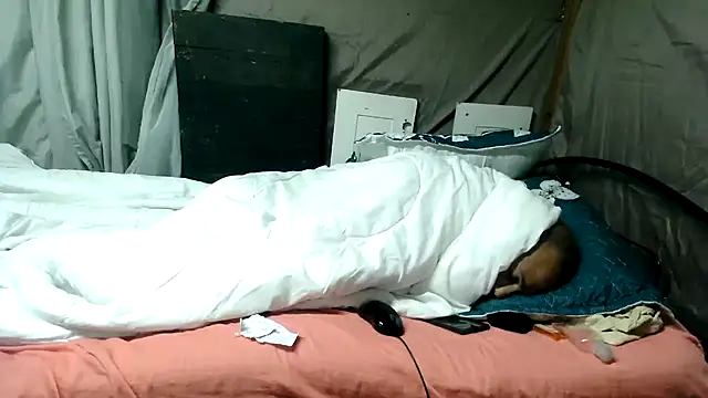 Camodick online show from June 2026 01:26:02 AM