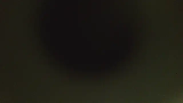 herpuppypeter online show from May 2026 01:45:01 AM
