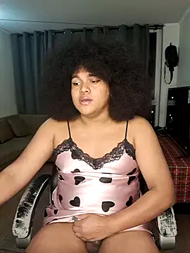 afrodani online show from July 2026 03:35:01 AM