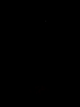 SpiceDiana1 online show from June 2026 08:23:02 AM