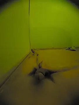 phhugp online show from July 2026 06:00:02 PM