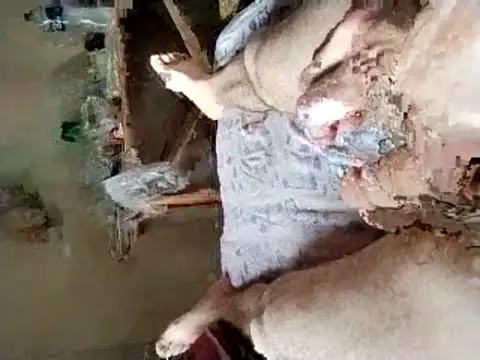 Snapshot of Cenno_ chatting on June 2026 02:52:01 PM Cenno online show from June 2026 02:52:01 PM