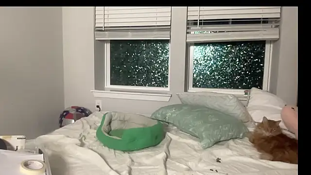 maddiliz online show from September 2025 01:49:01 AM