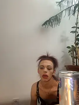 translady19 online show from June 2026 12:48:01 AM