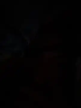 BearBigDick  online show from June 2026 10:28:02 AM