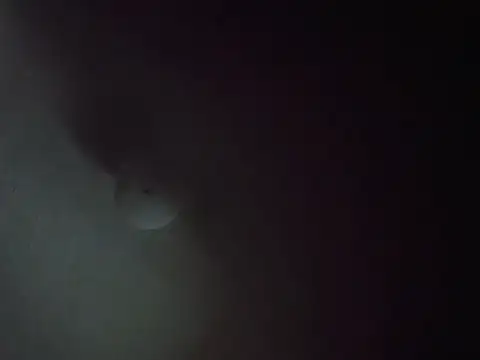 CurveBallbae67 online show from July 2026 04:42:02 PM