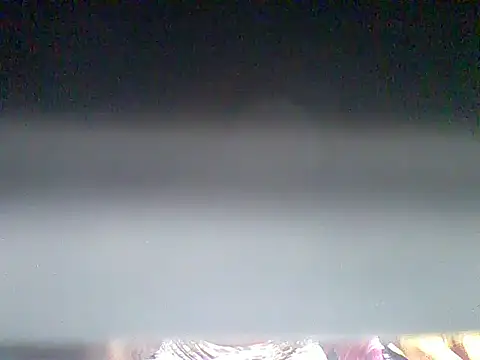 Tasty fussy online show from July 2026 08:20:02 AM