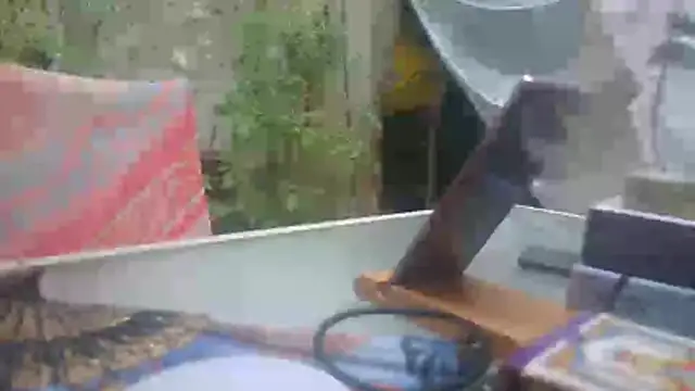 mad2moi online show from July 2026 02:22:02 PM