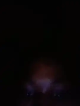 Snapshot of SalutedNonsense chatting on June 2026 11:36:02 AM SalutedNonsense online show from June 2026 11:36:02 AM