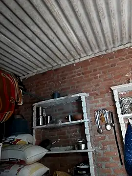 Hot shiri online show from July 2026 04:43:02 AM