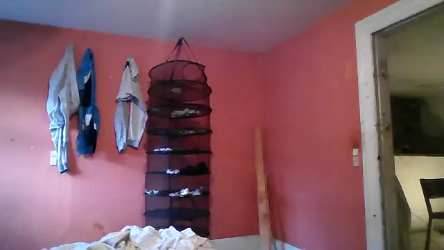 dreeday online show from July 2026 03:35:02 AM