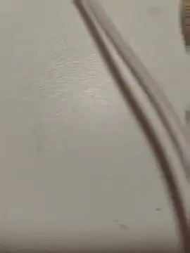 porn LJJ2 online show from July 2026 01:21:01 PM