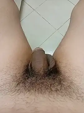 misterpanika online show from August 2026 05:11:02 PM