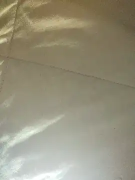 bitch77  online show from July 2026 05:09:02 AM