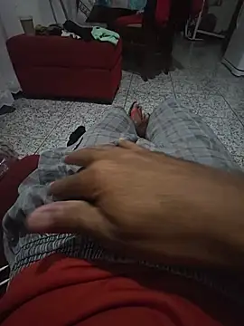 foguinho25cm online show from August 2026 08:17:02 AM