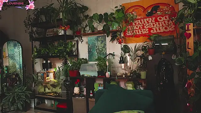 Dead Butterfly online show from October 2025 10:41:01 AM