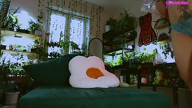 Dead Butterfly online show from May 2026 11:18:02 AM