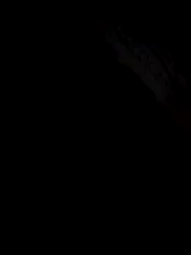 Snapshot of Gazda12 chatting on December 2025 06:09:02 AM Gazda12 online show from December 2025 06:09:02 AM