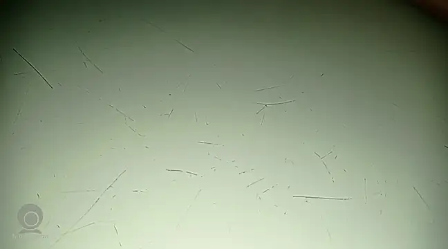 Snapshot of Just_for_trans chatting on February 2025 03:10:02 PM Just for trans online show from February 2025 03:10:02 PM