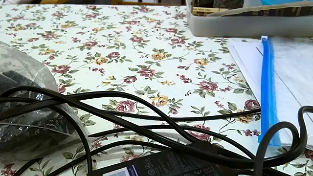 Snapshot of Bigjacky chatting on September 2025 04:39:01 PM Bigjacky online show from September 2025 04:39:01 PM