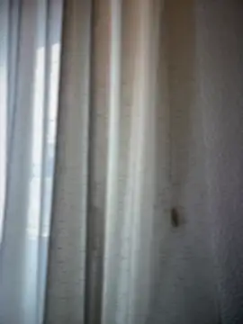 Chic desire online show from March 2026 10:09:02 AM