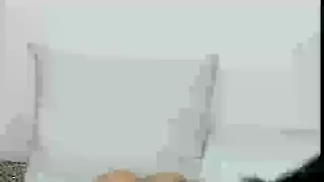 lorenfram online show from January 2025 07:56:02 PM