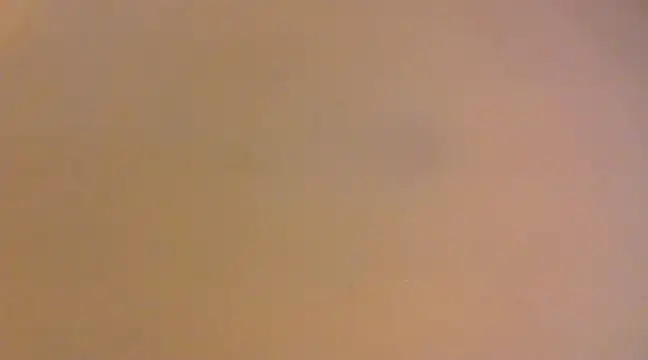 lilpervt online show from December 2024 11:55:01 AM